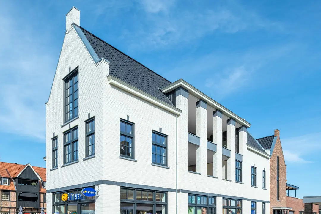 Projectplan het “Middenplein”
