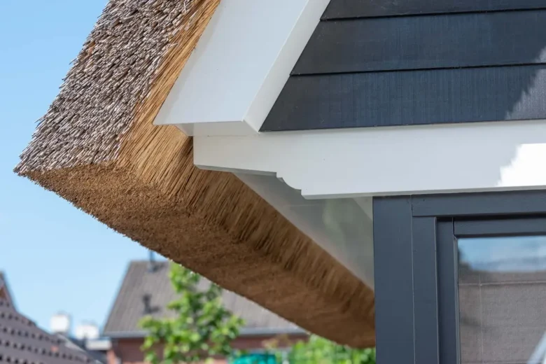 Moderne Woning met Rietenkap
