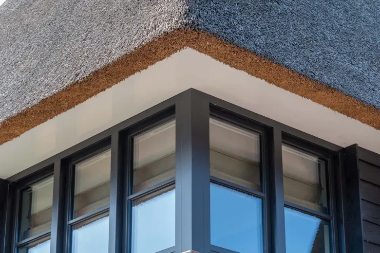 Moderne Woning met Rietenkap