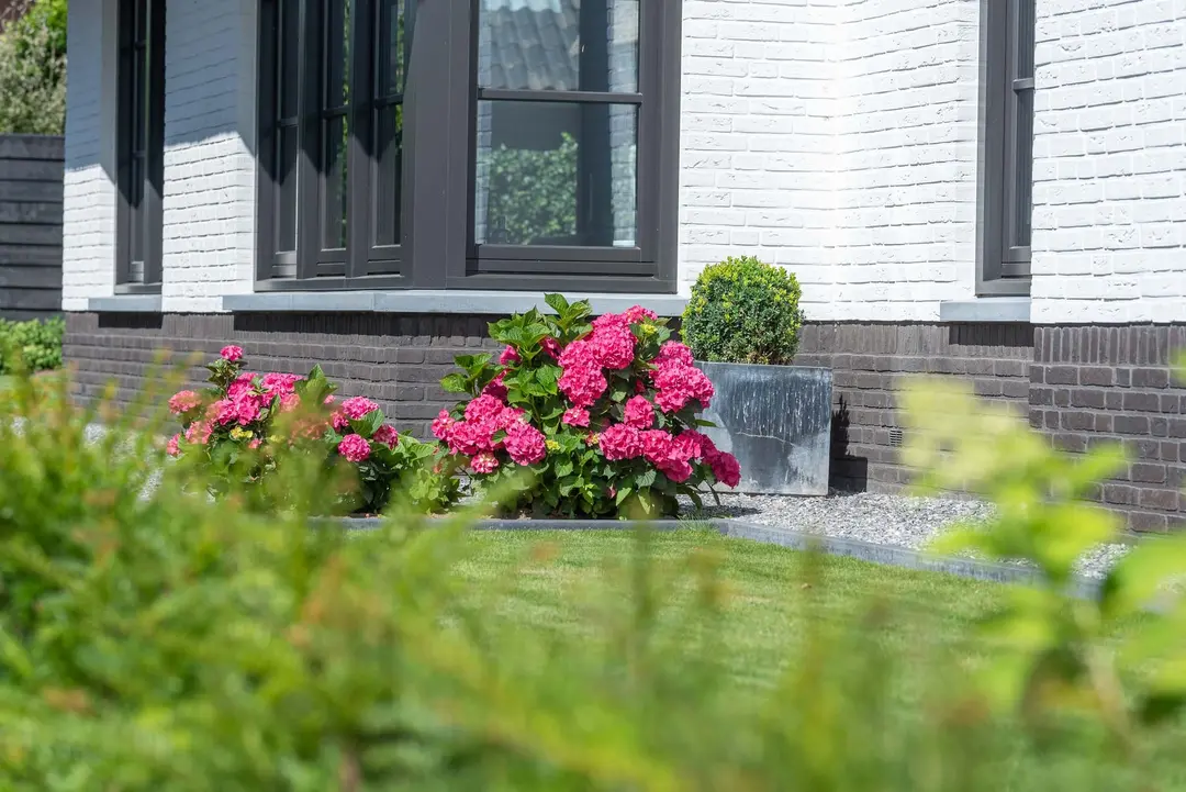 Moderne Woning met Rietenkap